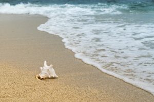 Ubezpieczenie turystyczne z biura podróży może zabezpieczyć chyba tylko przed nadepnięciem na muszlę na plaży